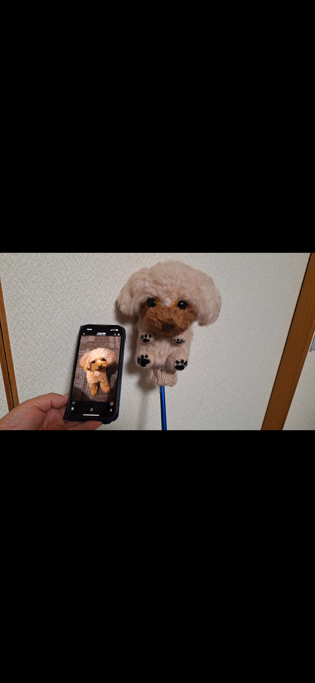 お客様の声と実績