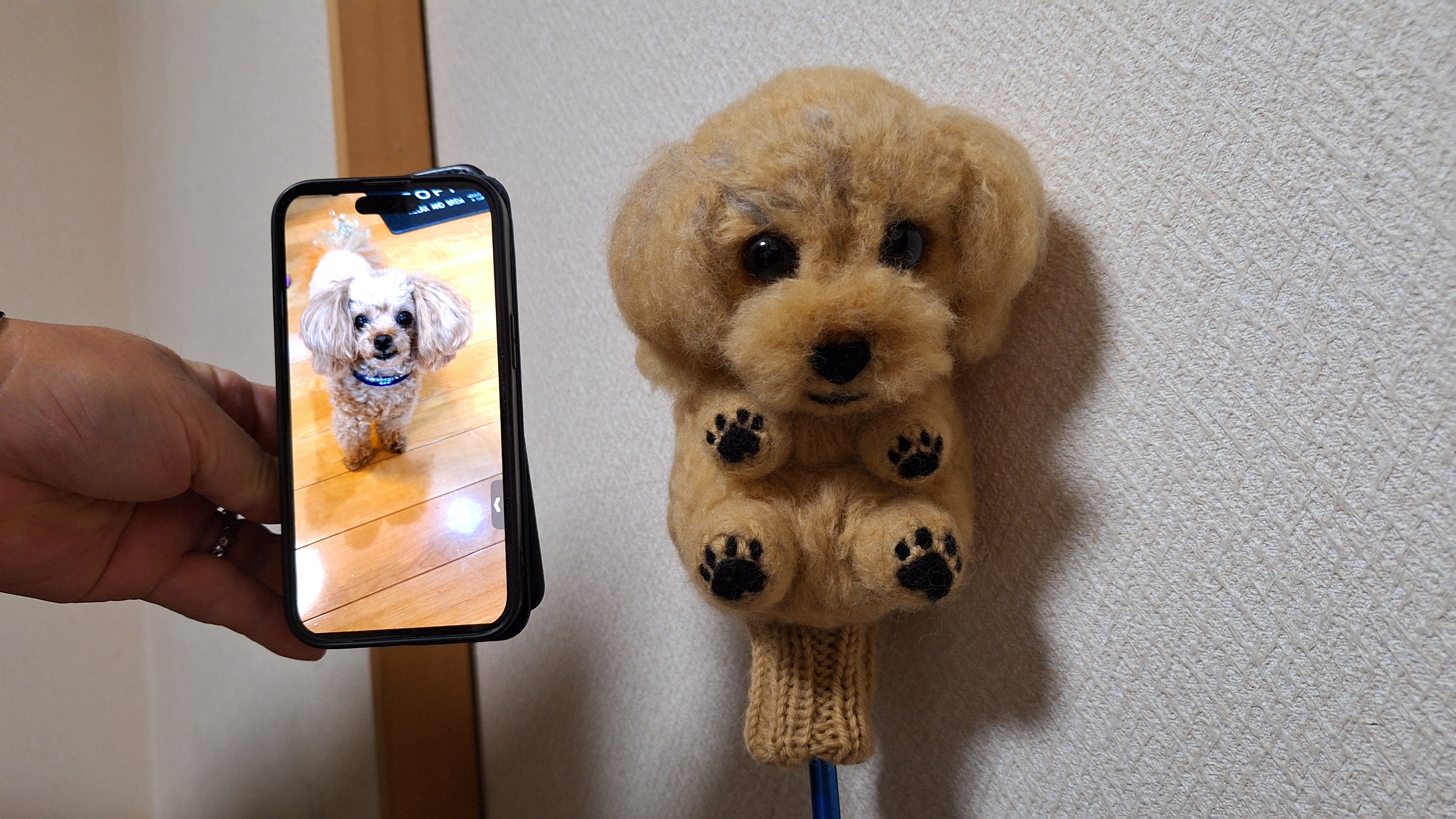 ペットとの思い出を形に