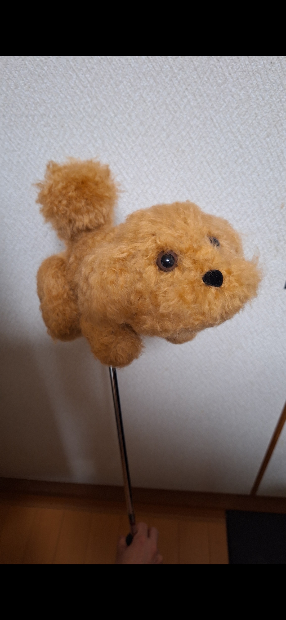 今すぐお問い合わせを！