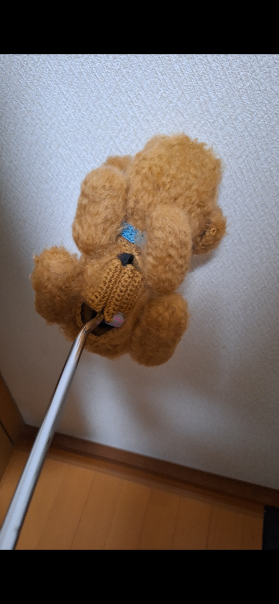 今すぐお問い合わせを！